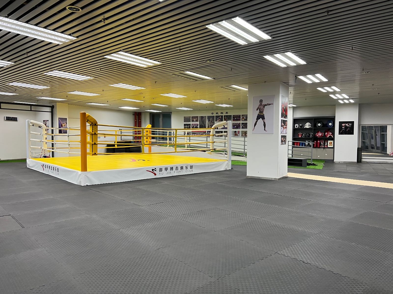 御甲搏击俱乐部