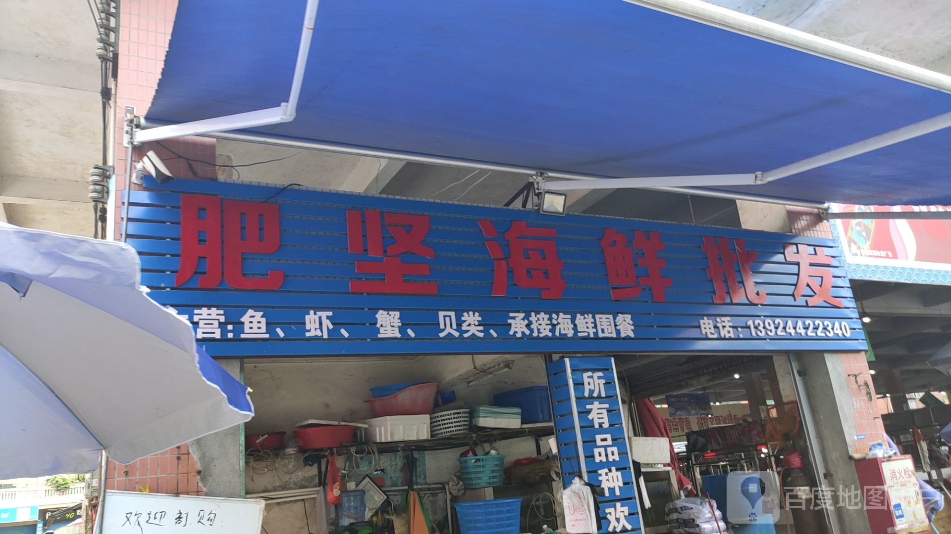 肥坚海鲜批发