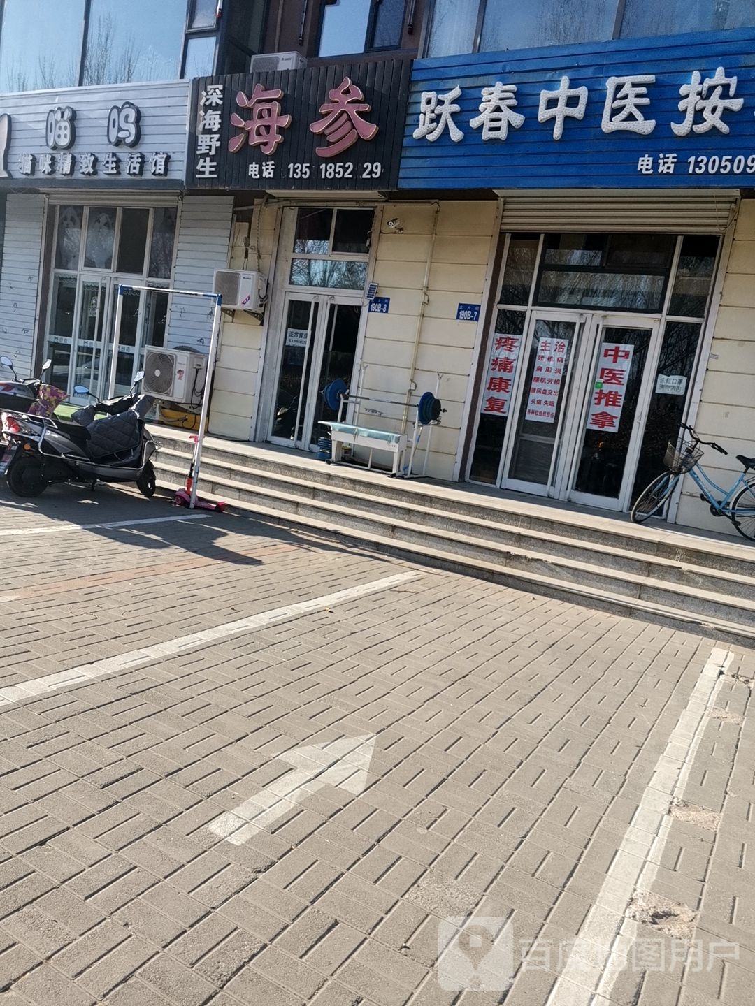 深海野生海参