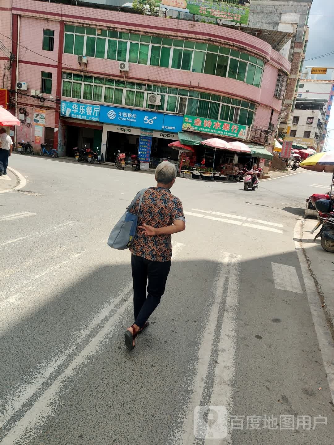 金铃水果行