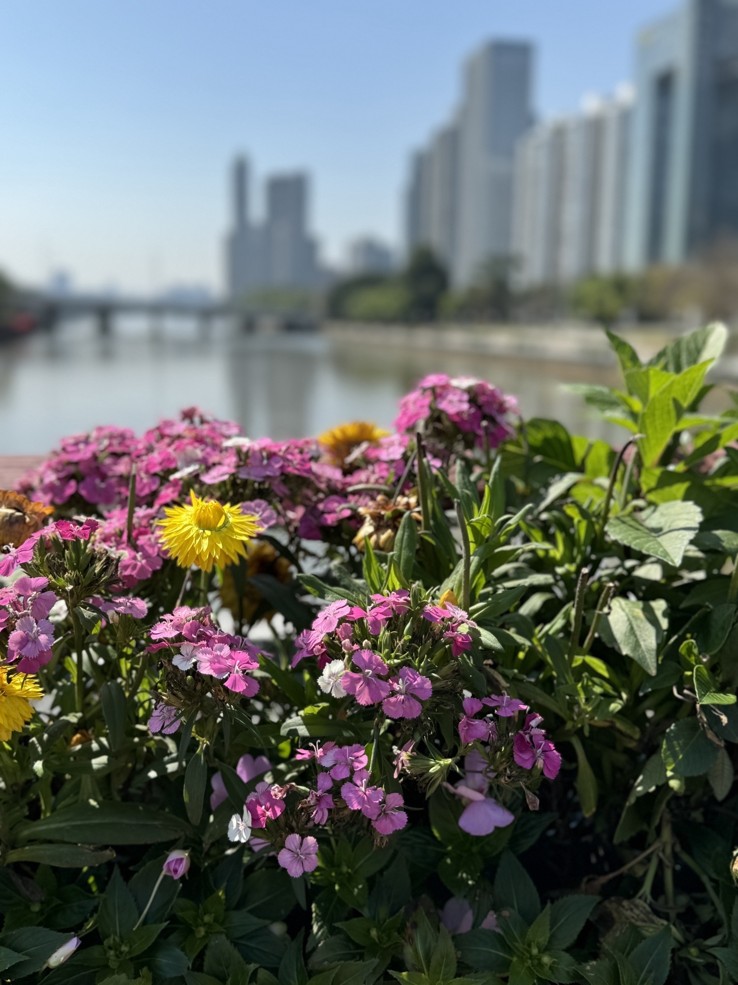 海心沙亚运公园