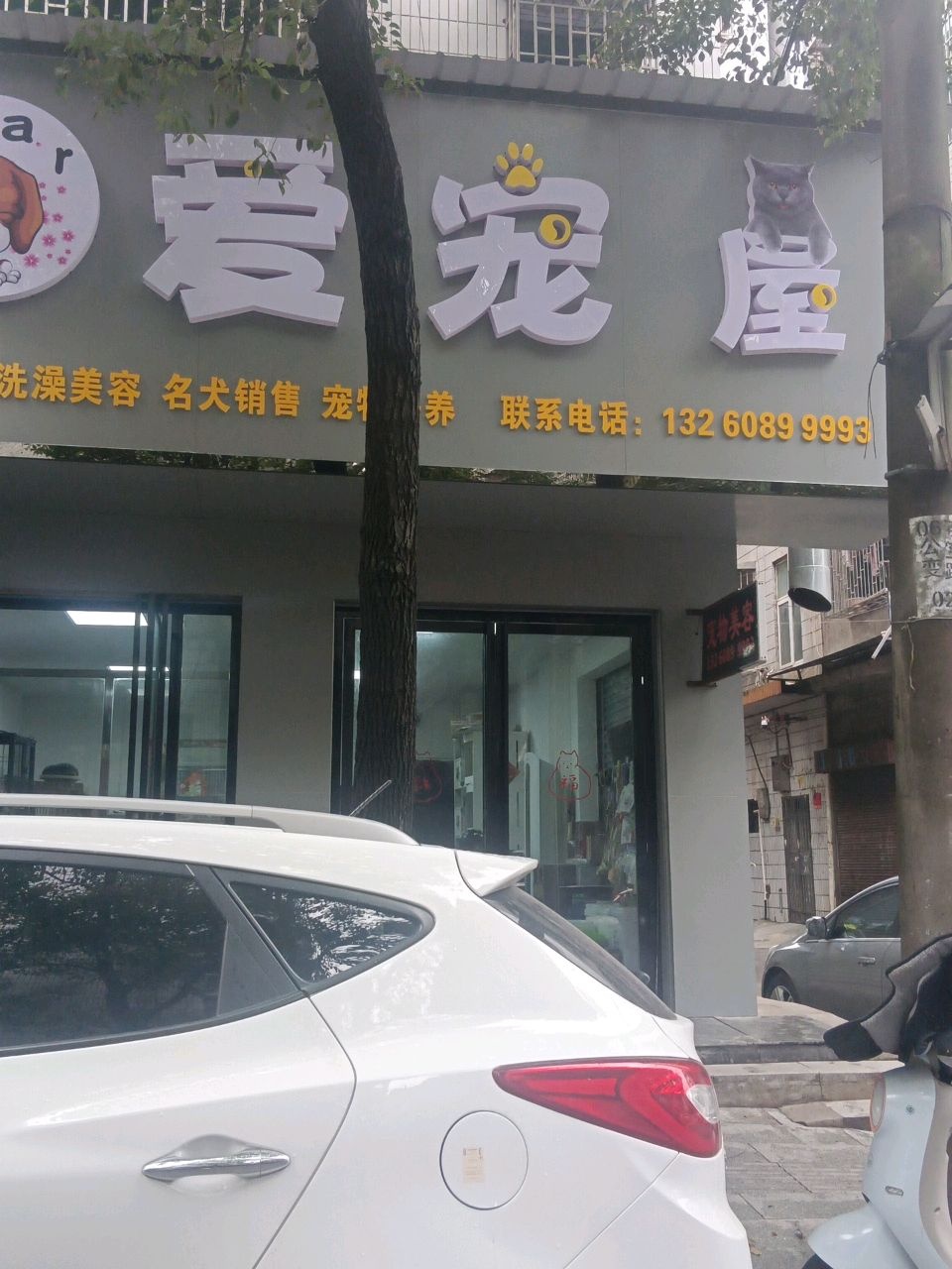 爱宠屋(百宝路店)