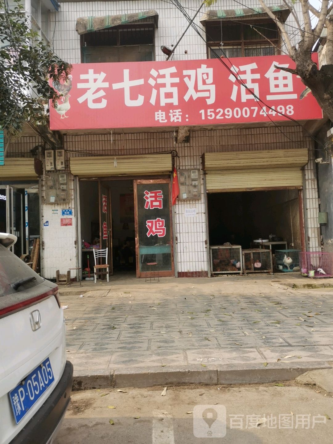 西华县活鸡活鱼(青华路店)