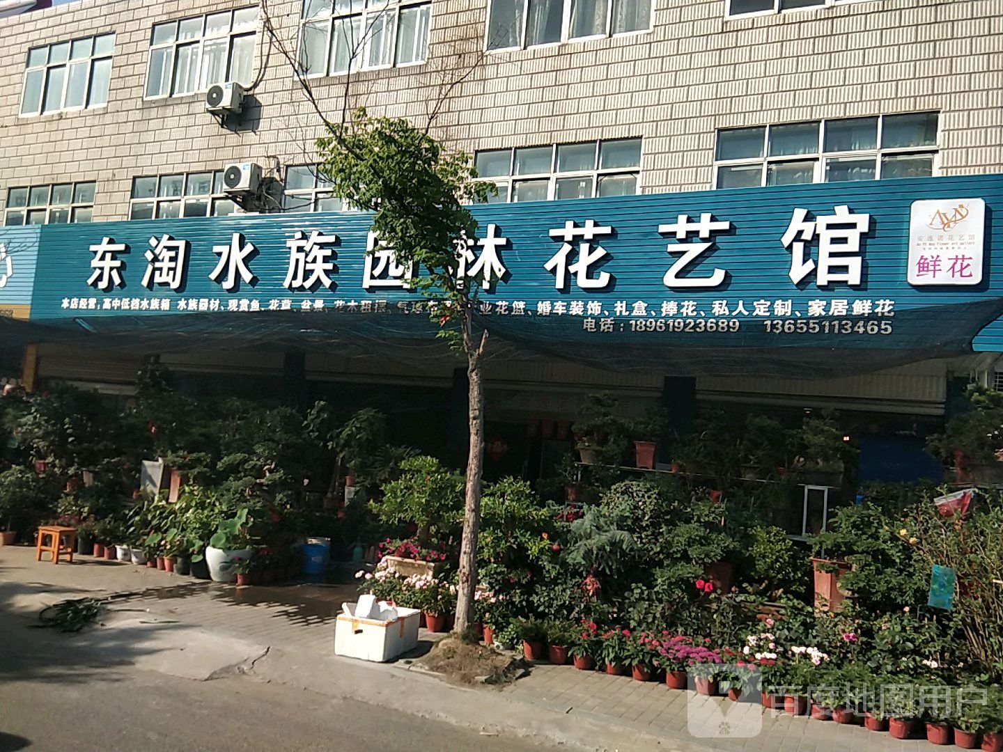 东淘水族园林花艺管