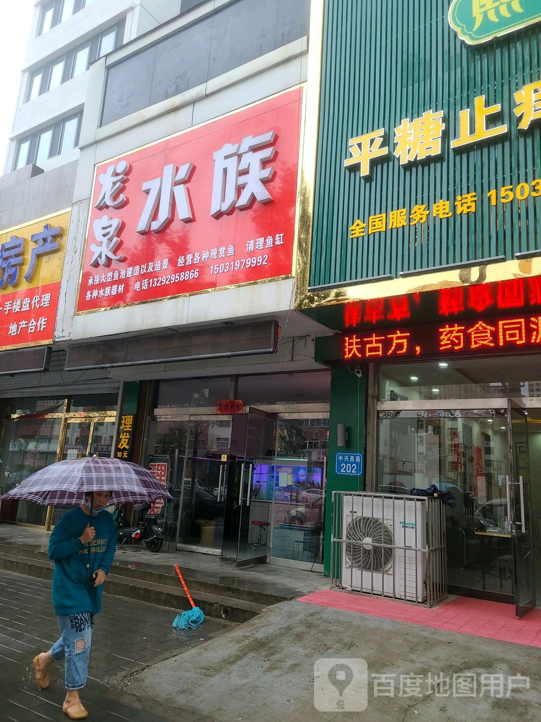 龙泉水族