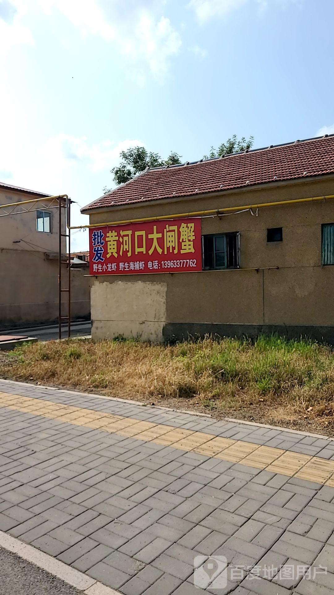黄河口大闸蟹批发