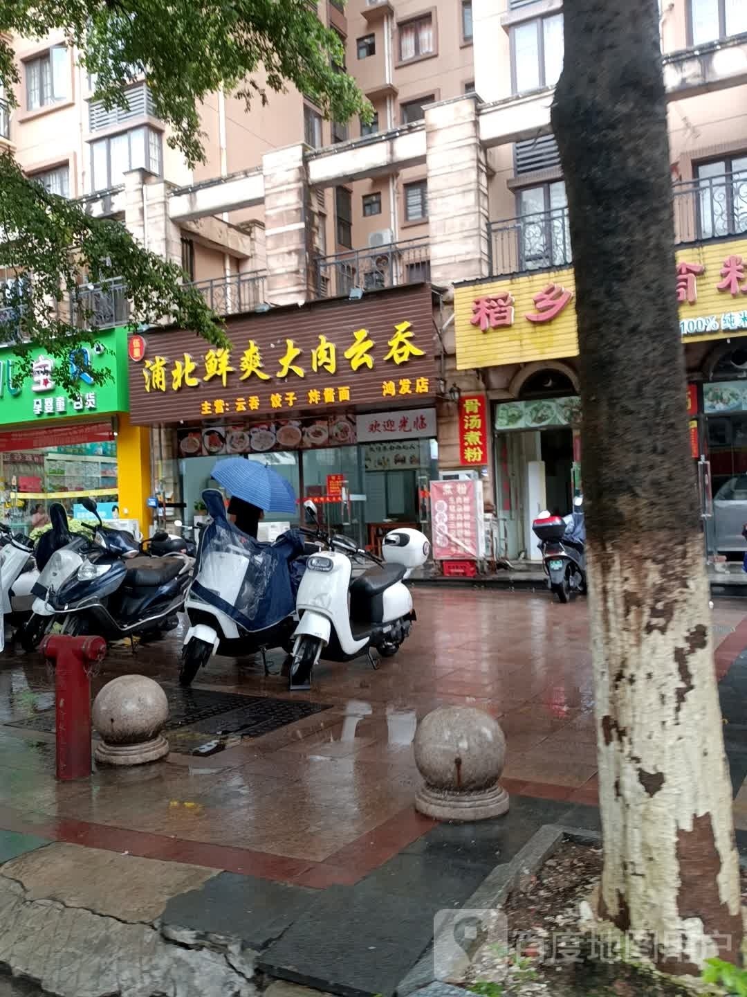 浦北鲜爽大肉云吞(鸿发店)