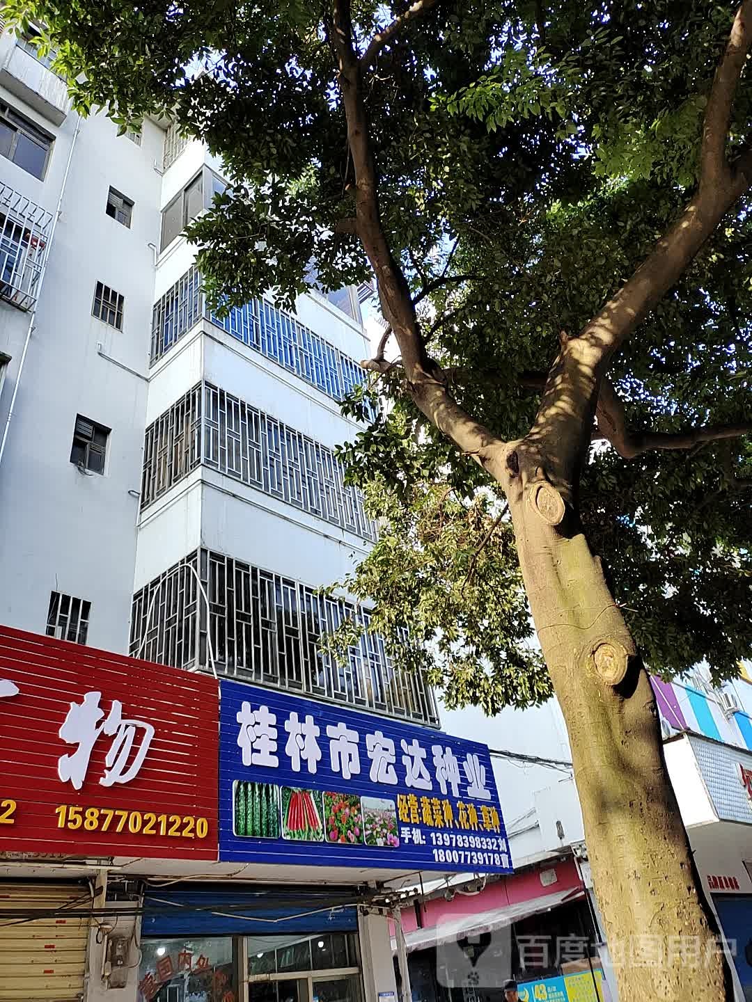 桂林市宏达种业