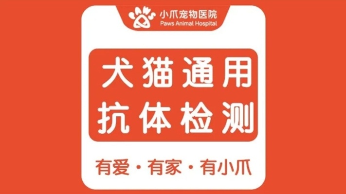 合肥小爪宠物医院