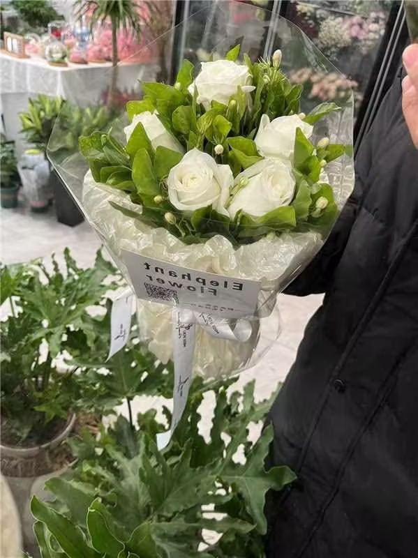 野象鲜花绿植(翠微东路店)