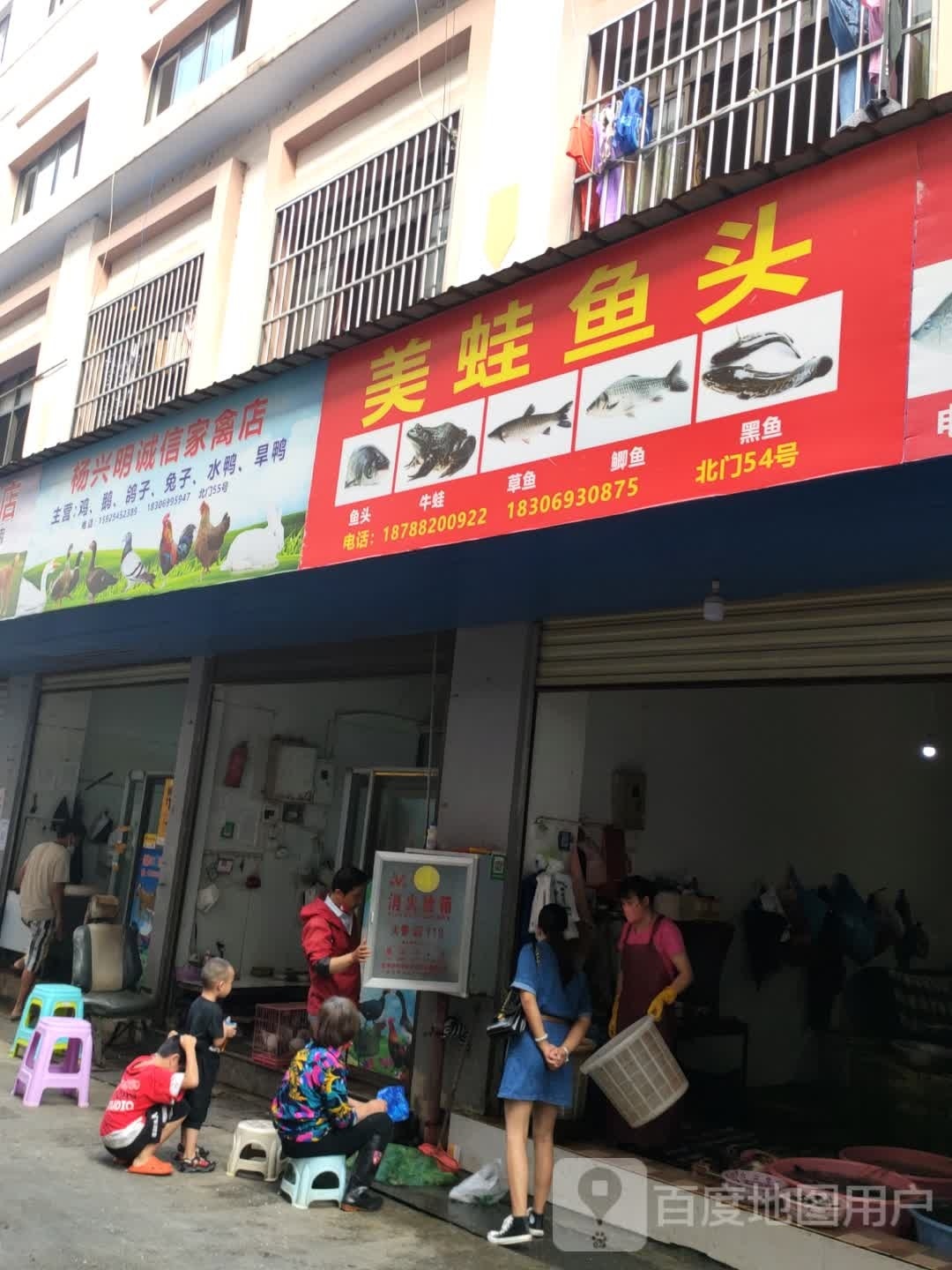 美鱼吓蛙头熔(麓川路店)