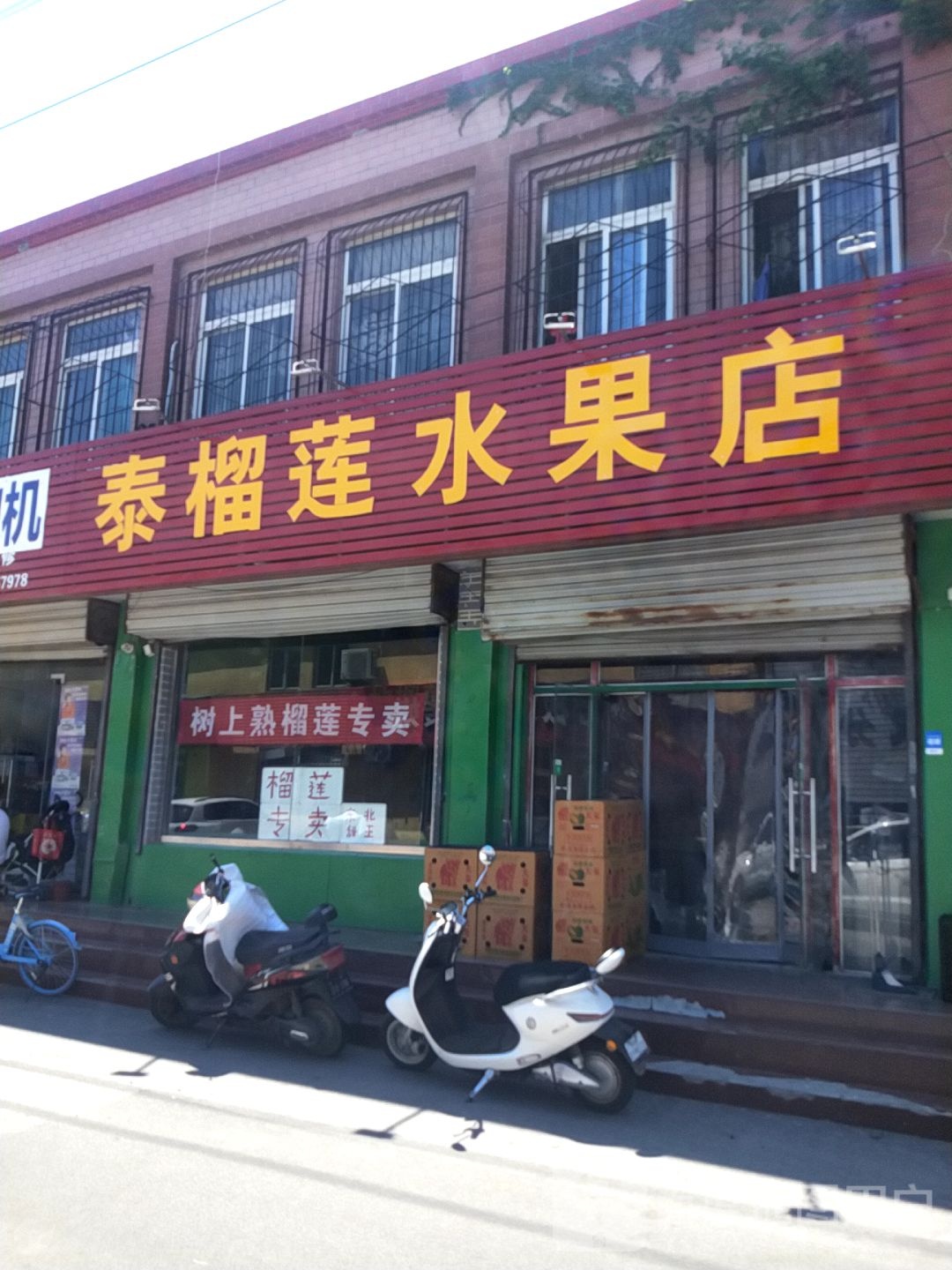 泰榴莲水果店