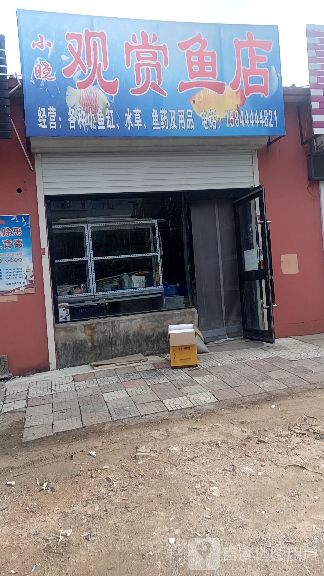 小晓观赏鱼店