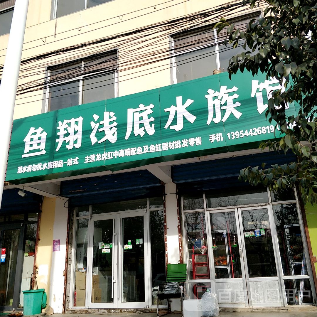 鱼翔浅底水族馆