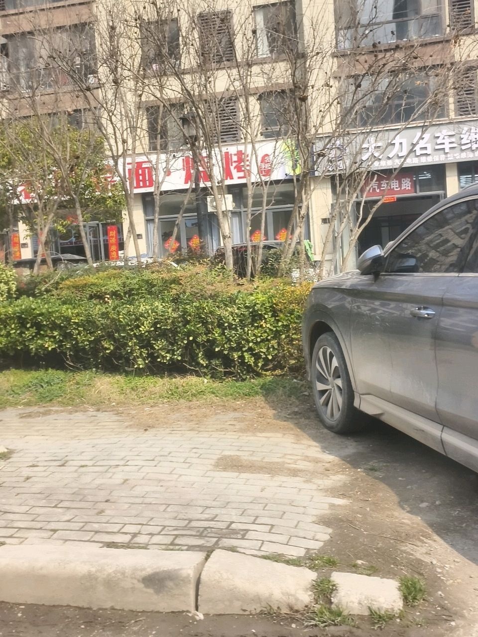 大力名车维修中心(志元路店)