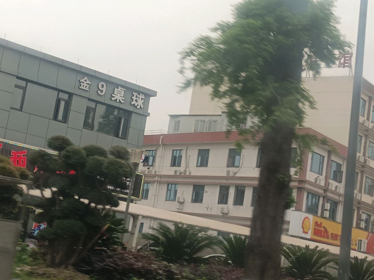 金9桌球