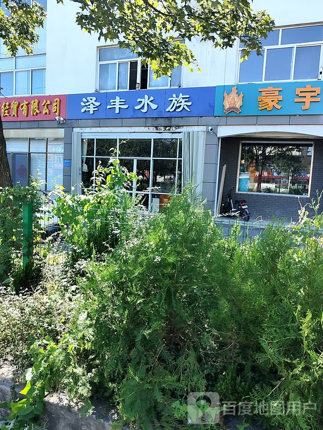 泽丰水族