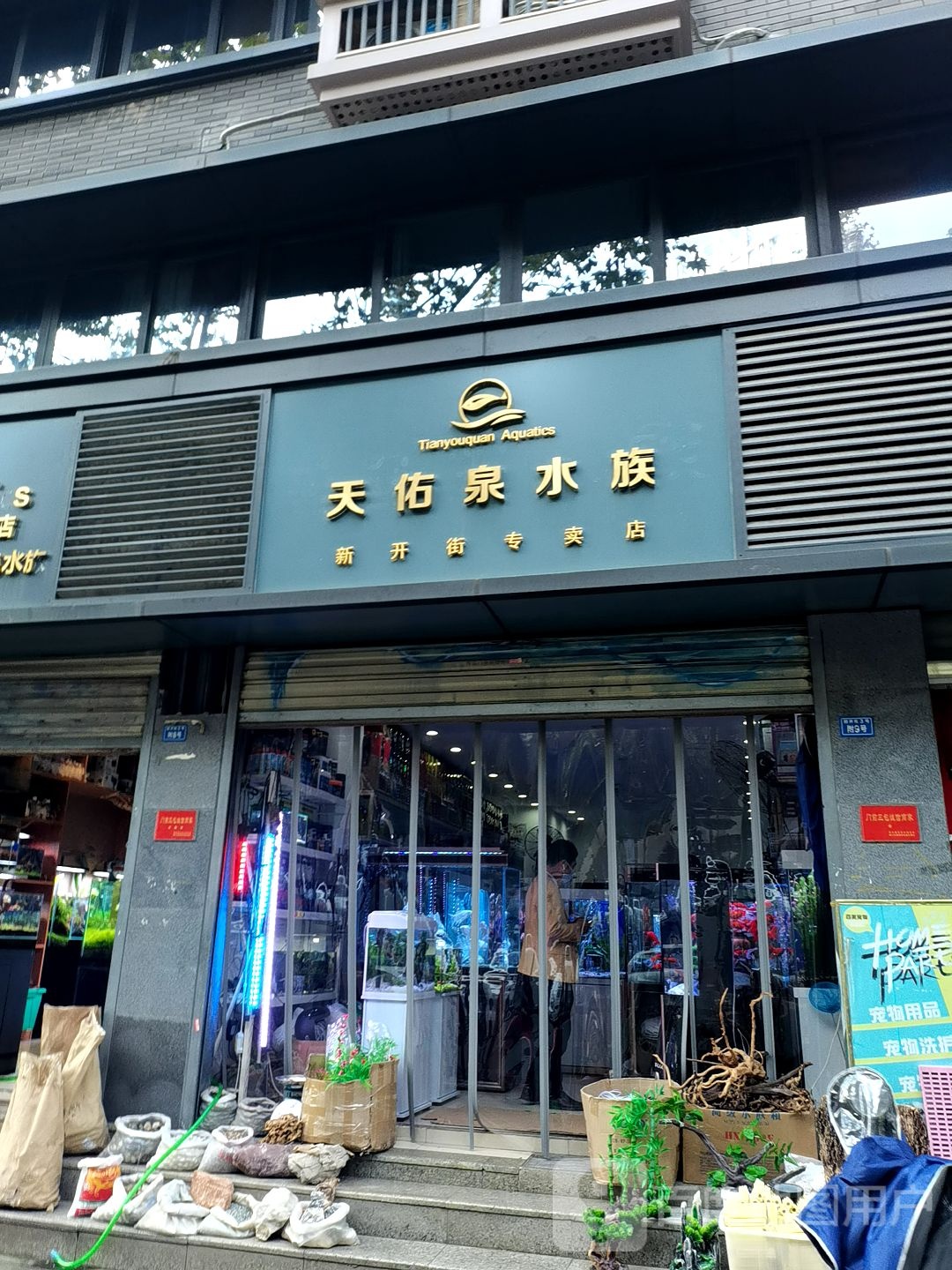 天幼泉水族(新开街专卖店)