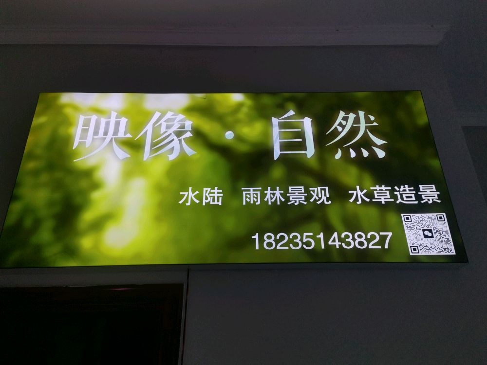 太原市映像自然植物景观