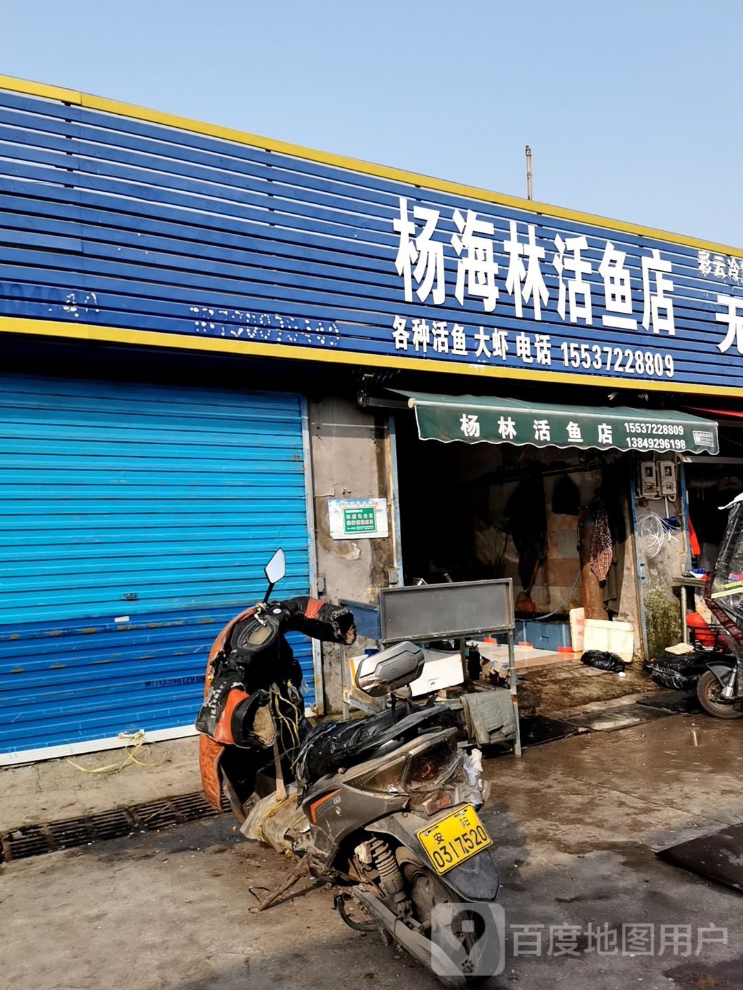 杨海林活鱼店
