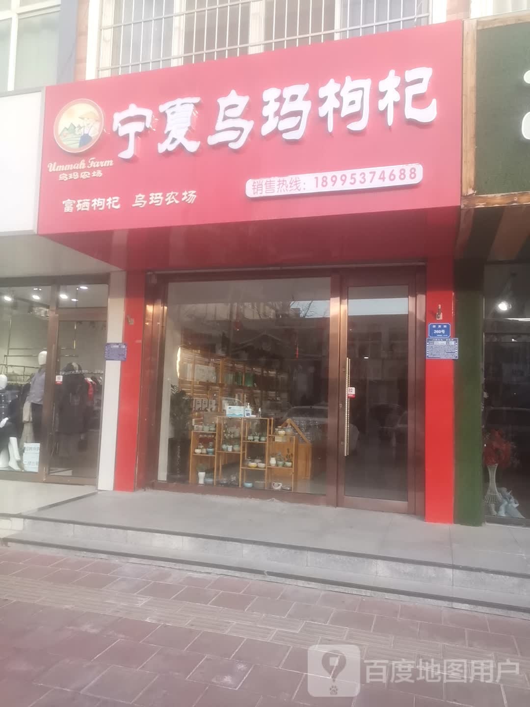 乌玛农场一宁夏乌玛枸杞
