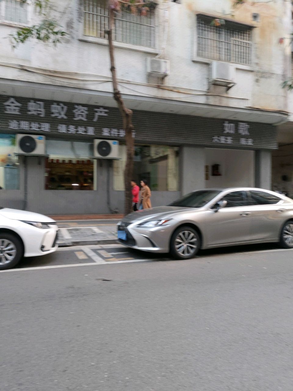 金蚂蚁资产