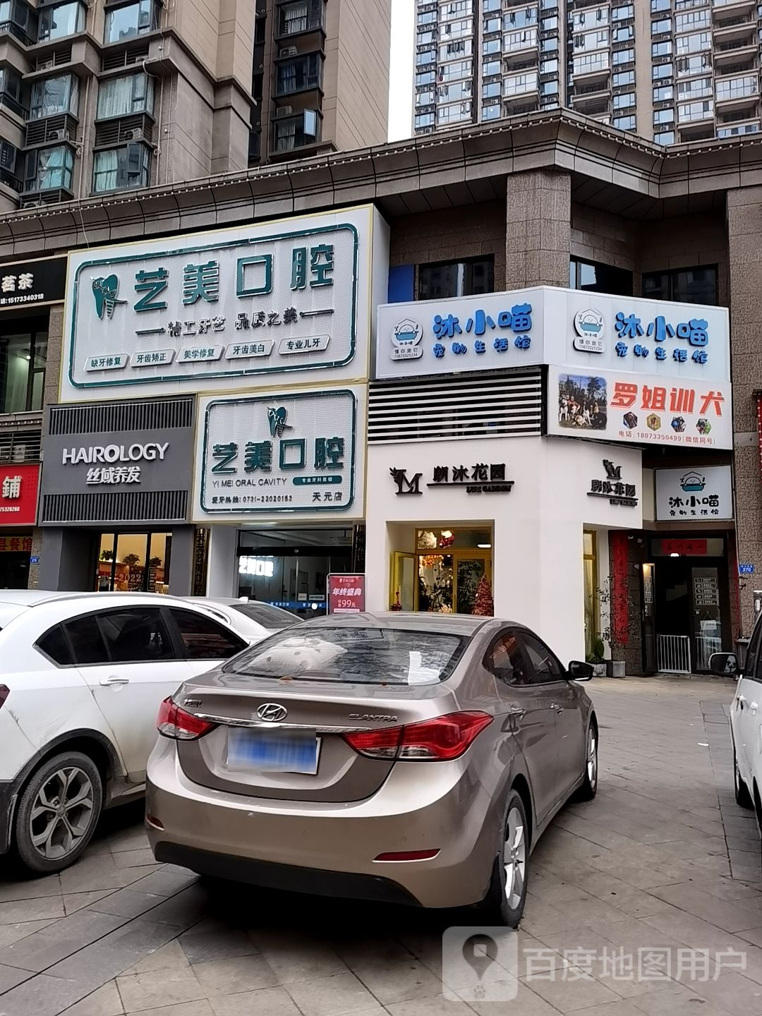 罗姐训犬