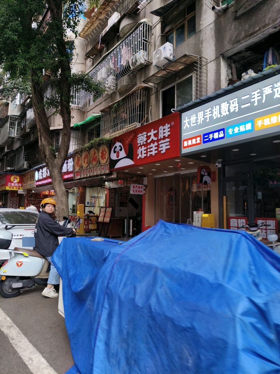 金扁扁龙门扁粉