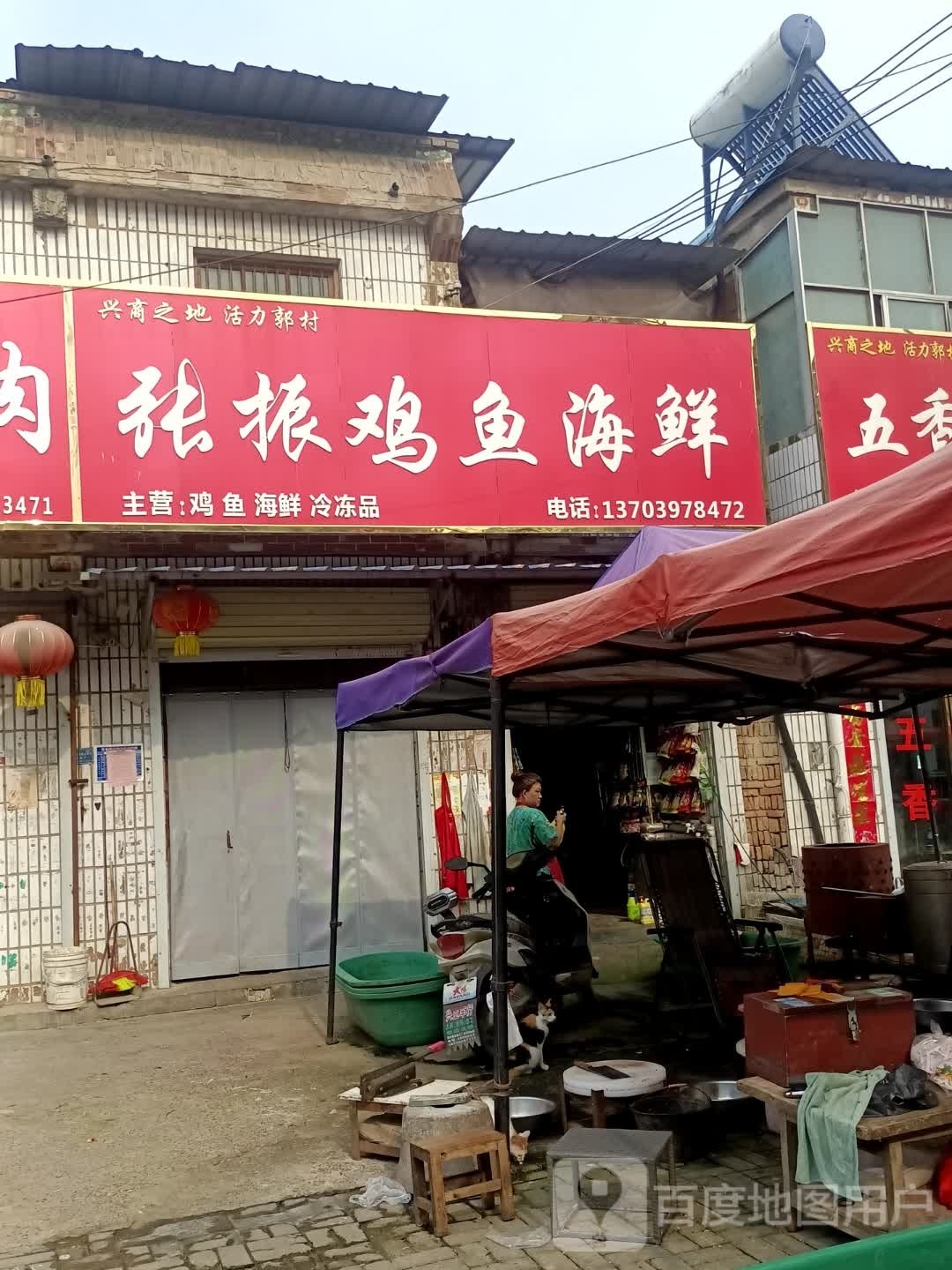 张振鸡鱼海鲜
