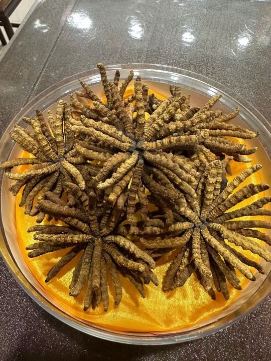熠德烟酒回收礼品茅台洋酒虫草燕窝老酒