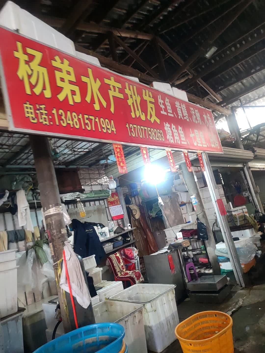 杨弟水产批发