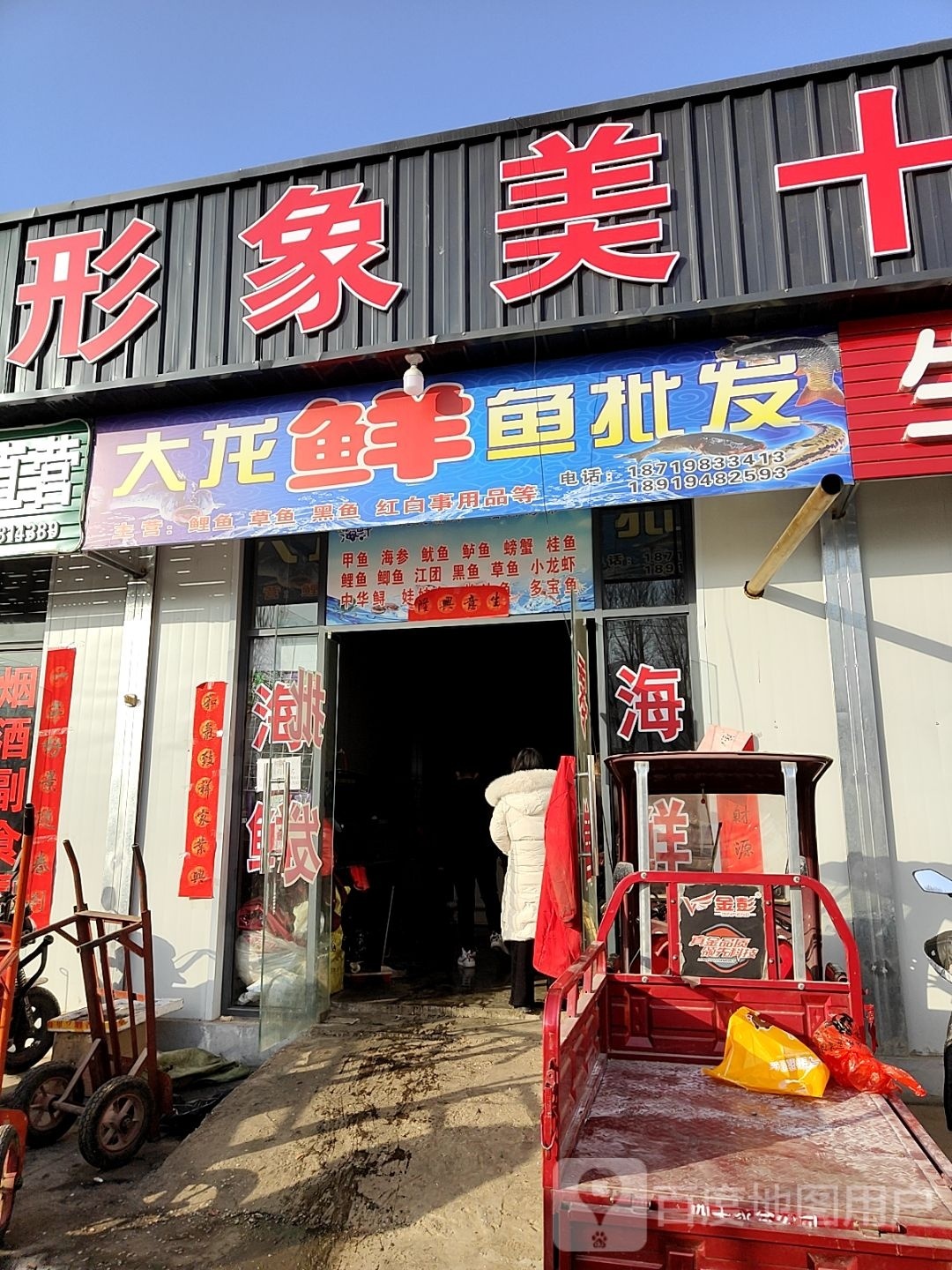 大龙鲜鱼批发