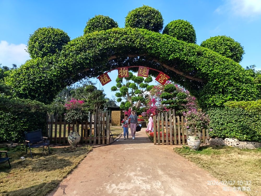 火山榕园植物迷宫