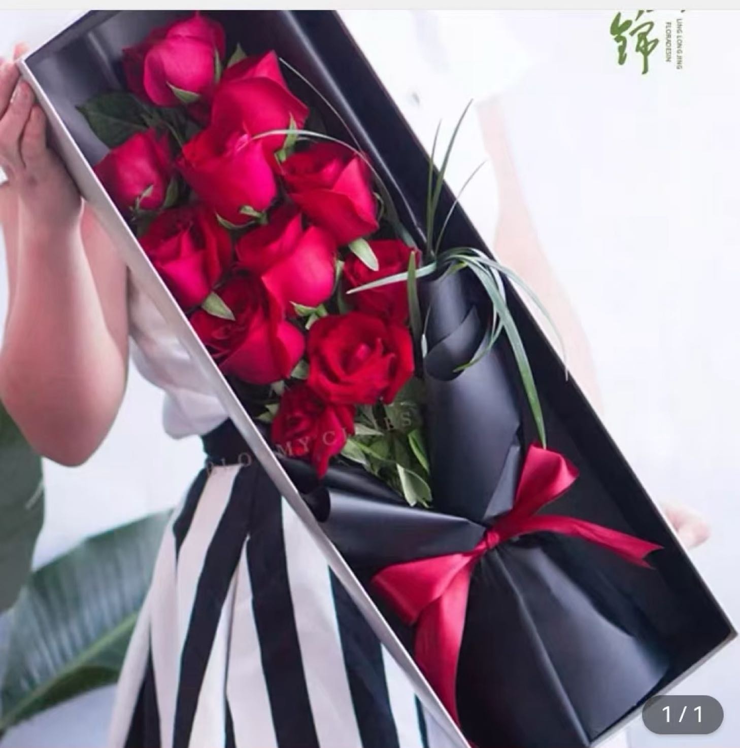 厦门清春元花卉