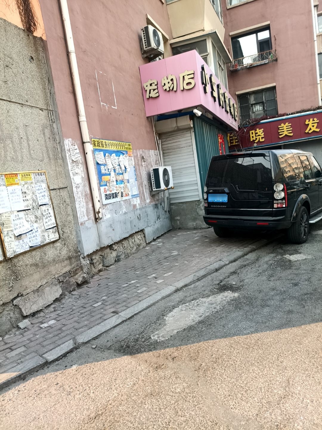 小车的宠物店