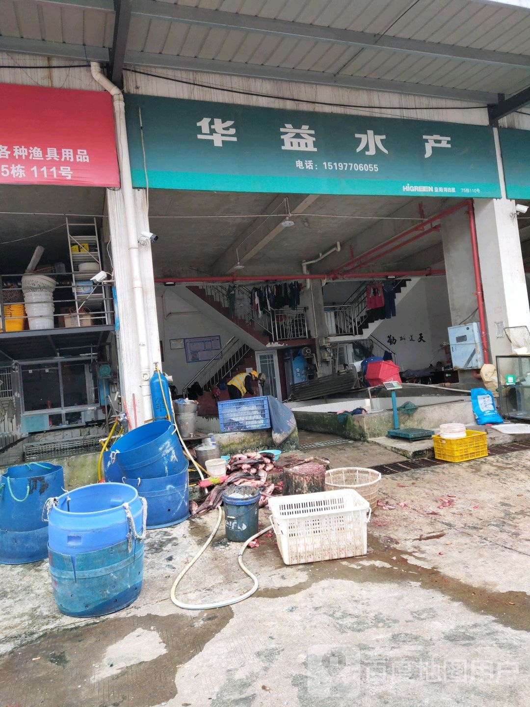 华益水产臭鱼收购站