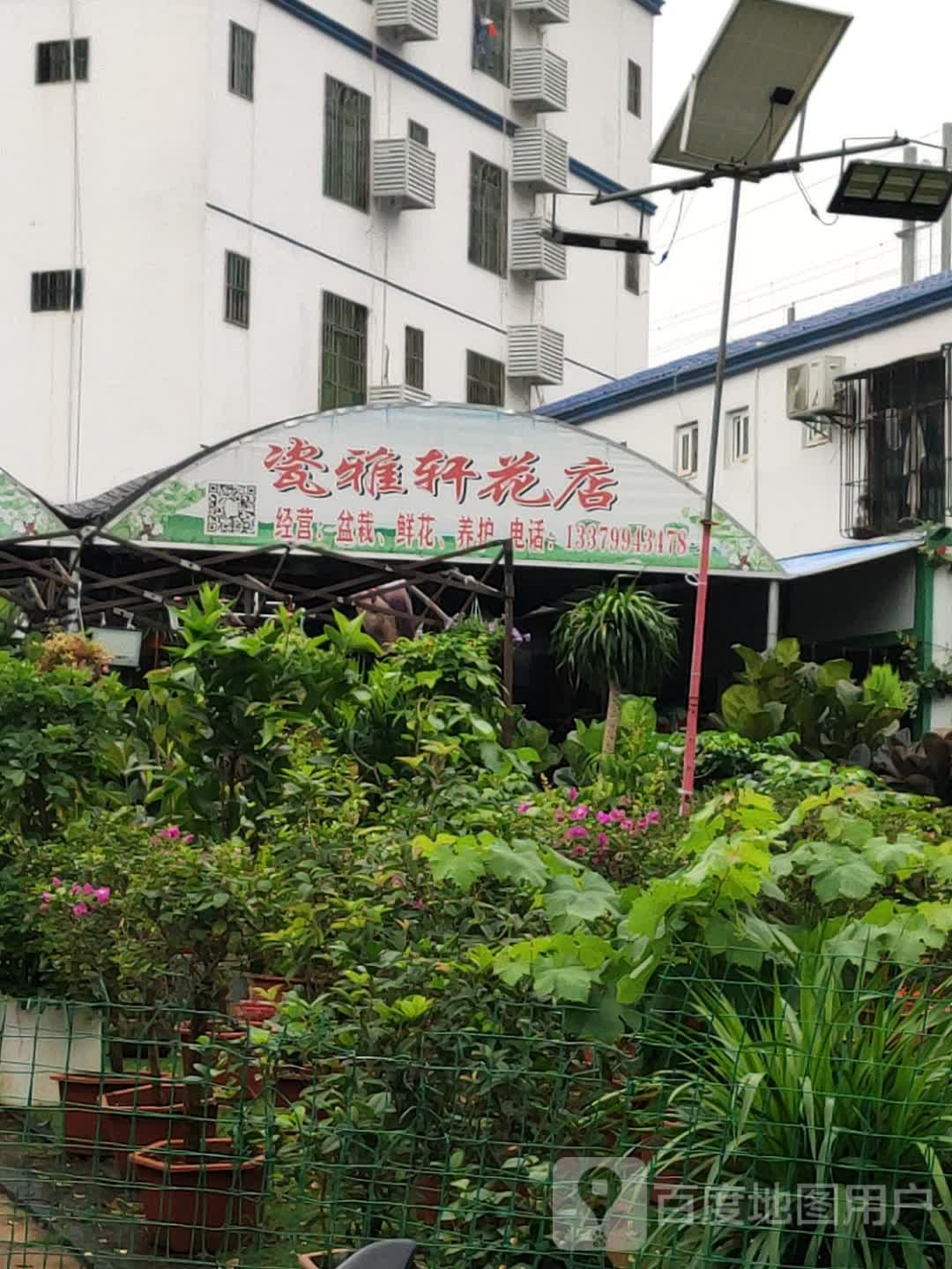 海南省海口市龙华区瓷雅轩花卉店