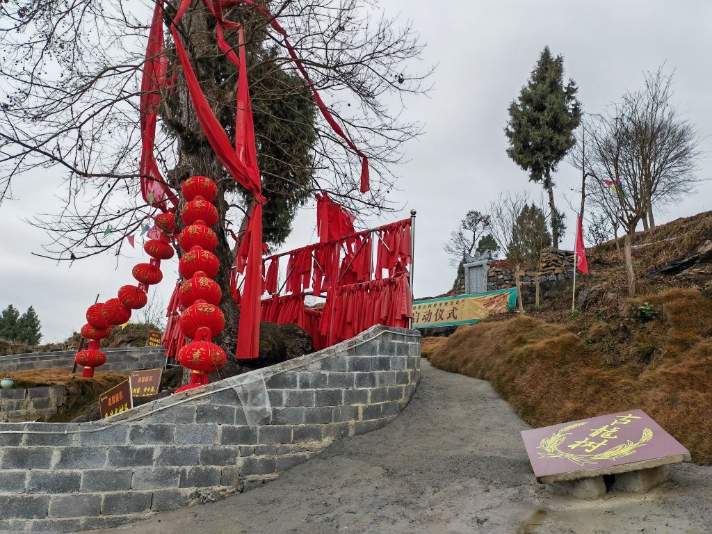 柏香古树群风景区