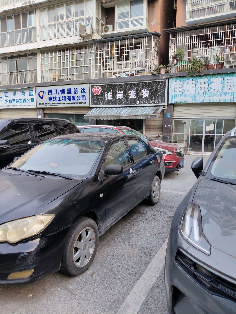 彼岸宠物