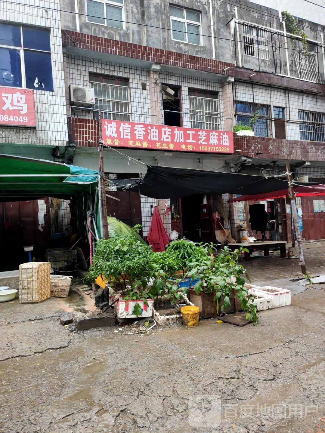 新郑市龙湖镇诚信香油店加工芝麻油