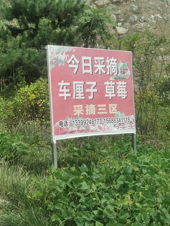 柞水溶洞采摘园