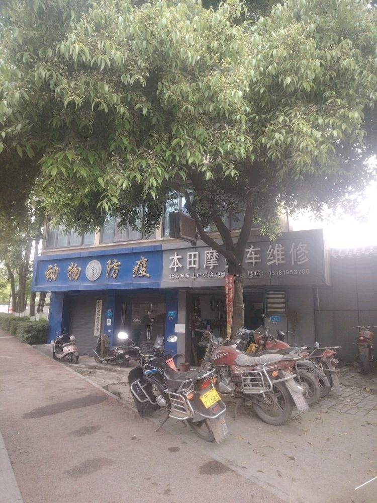 本田摩托车维修(安宁大道二段店)