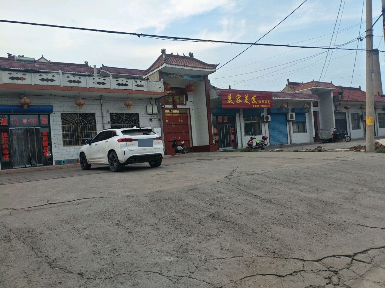 桂染焗烫