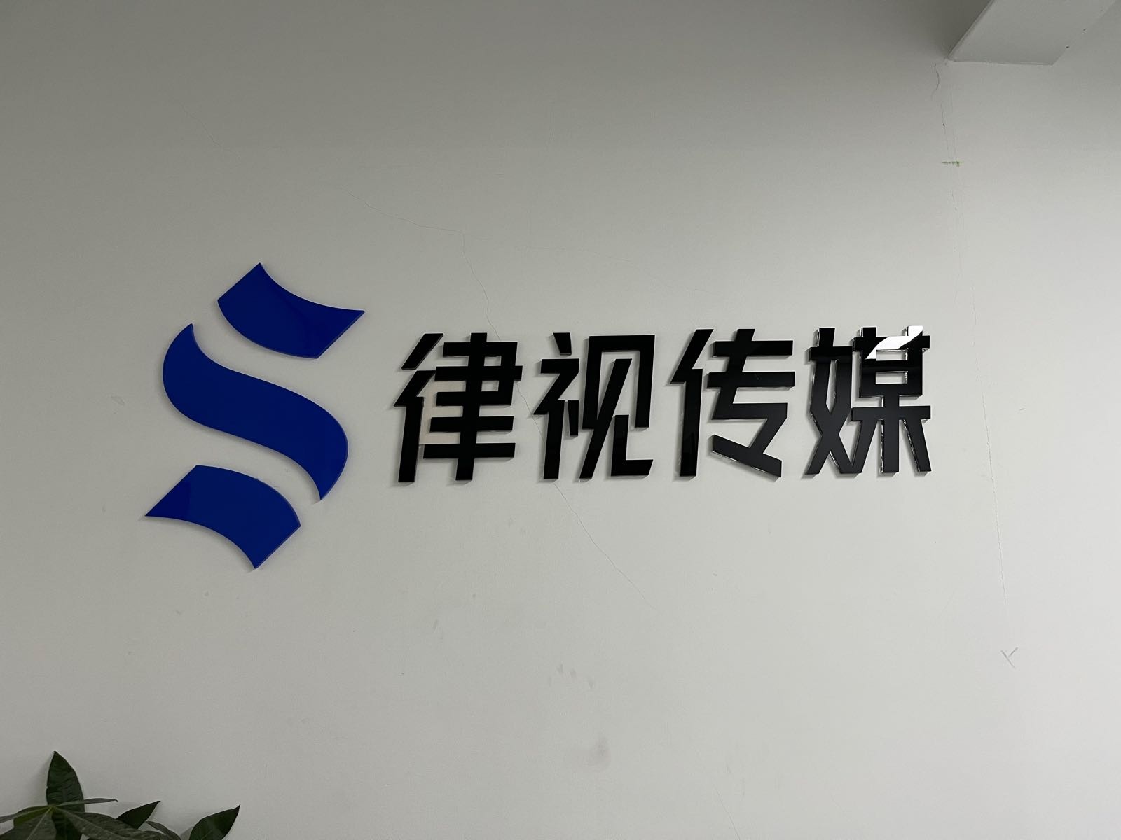 广州律视文化传媒有限公司