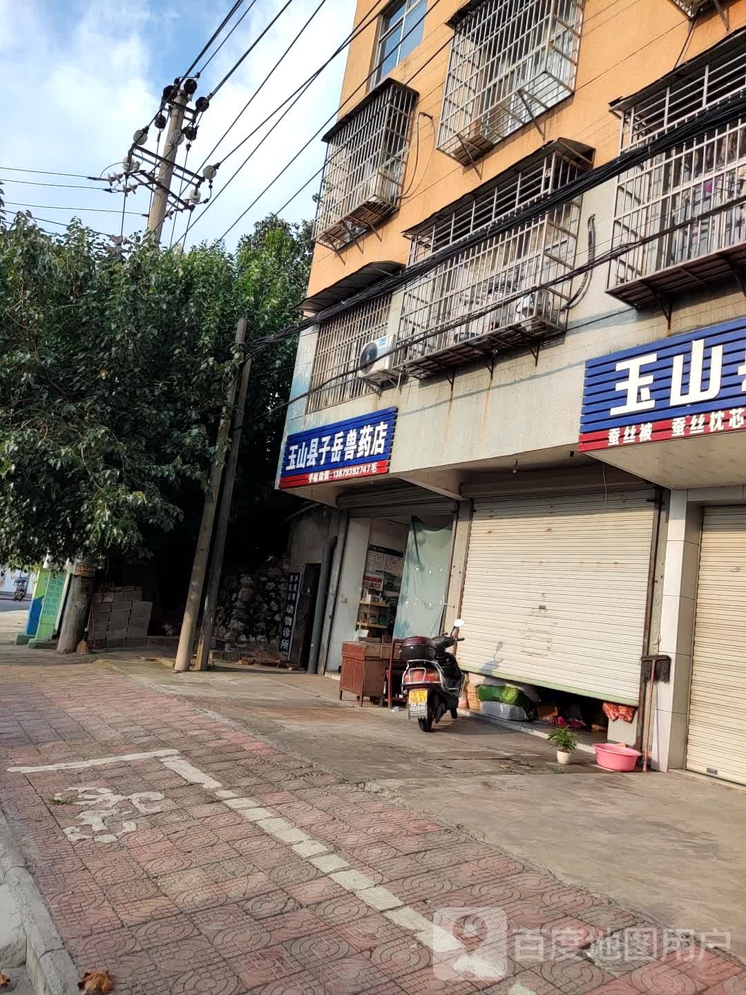 玉山县子岳兽药店