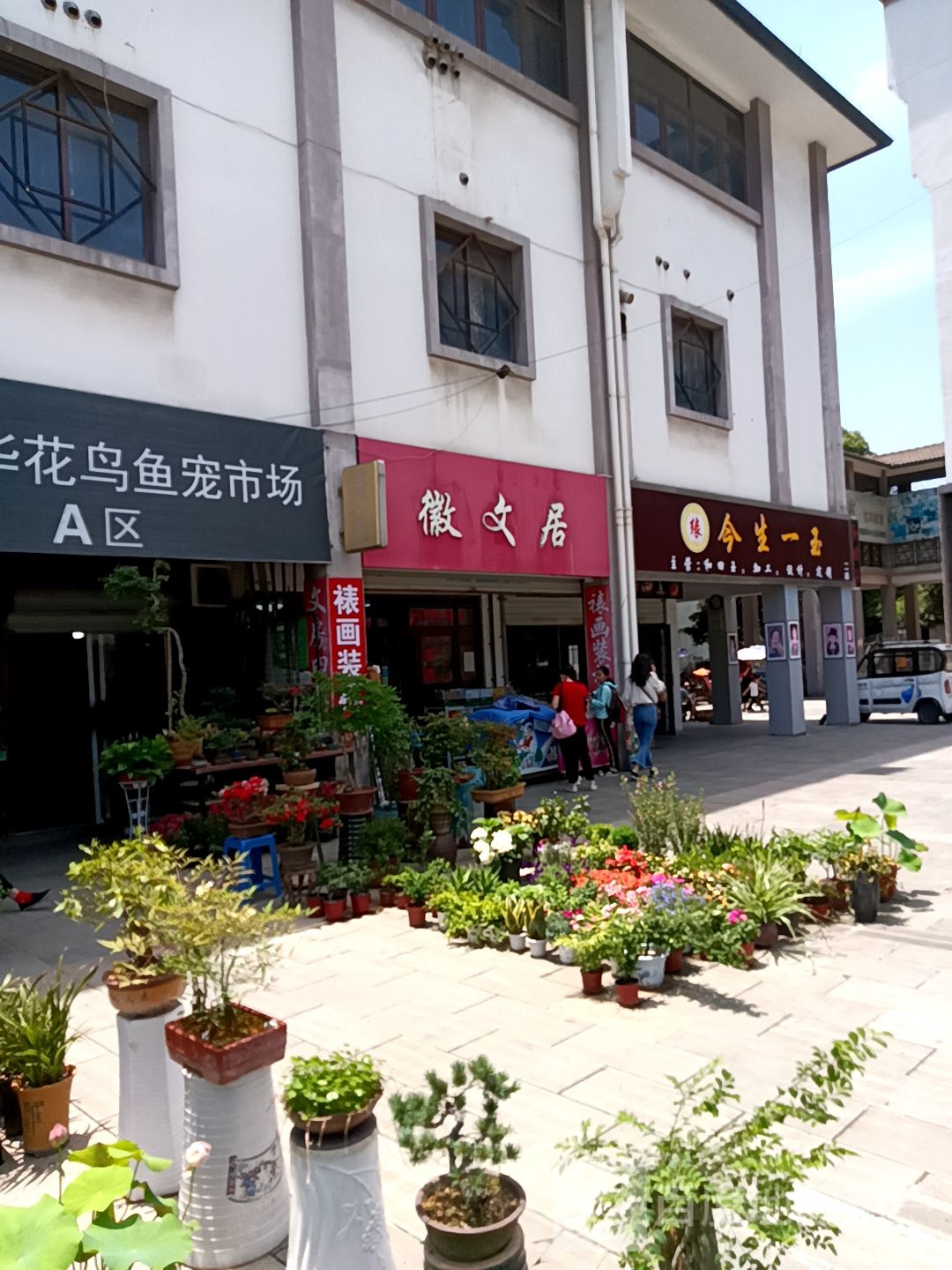 今省一玉