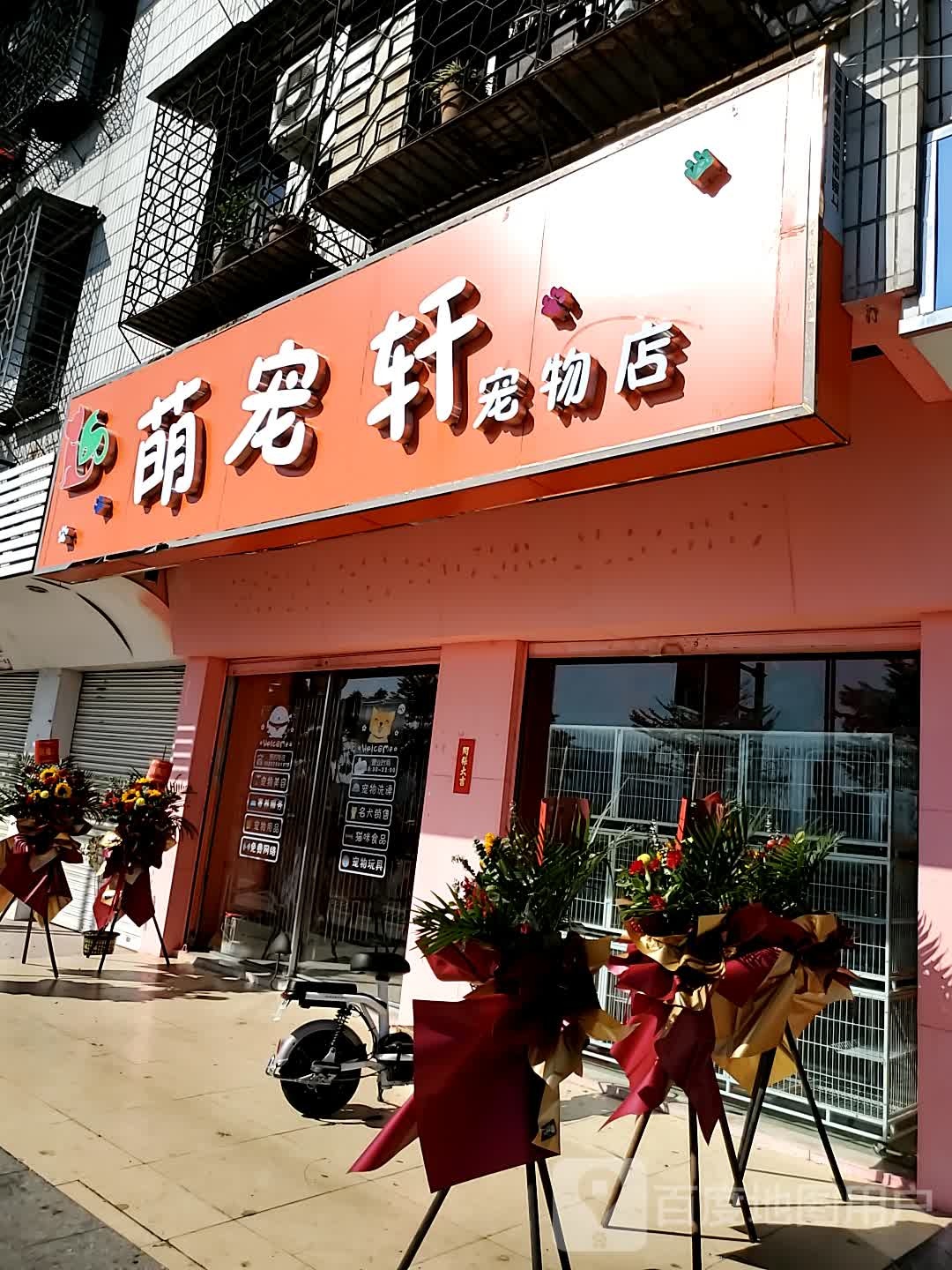 萌宠轩宠物店