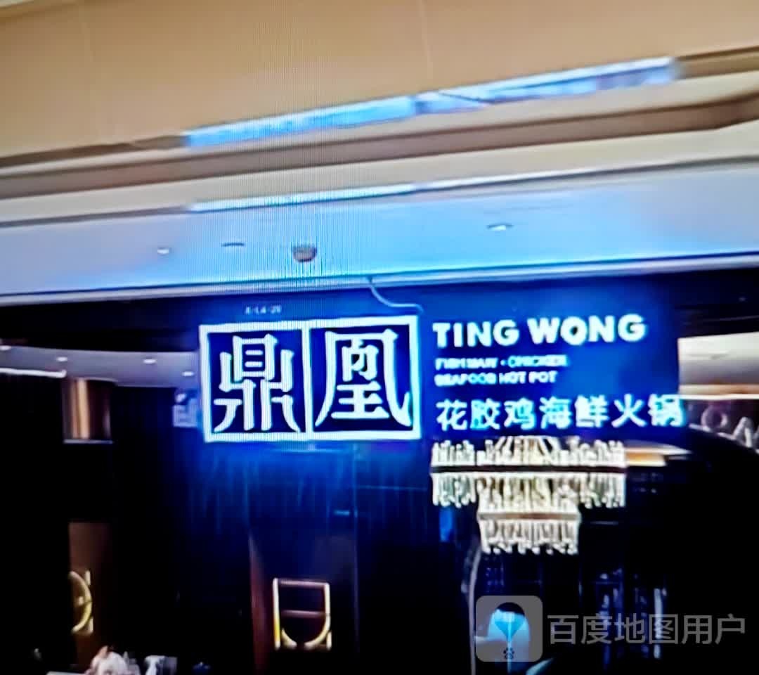鼎凰花胶鸡海鲜火锅(新七街店)