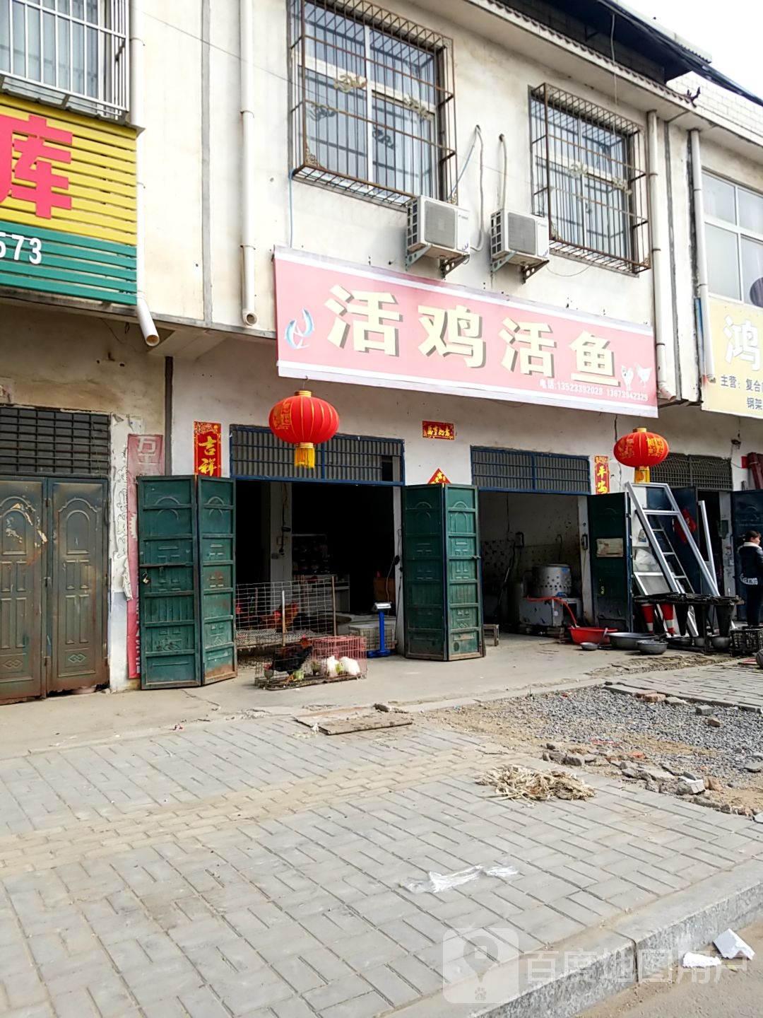 西华县活鸡活鱼(光明路店)