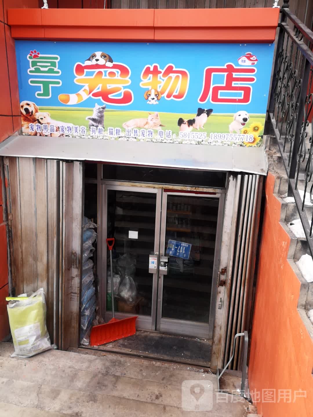 豆丁宠物店店